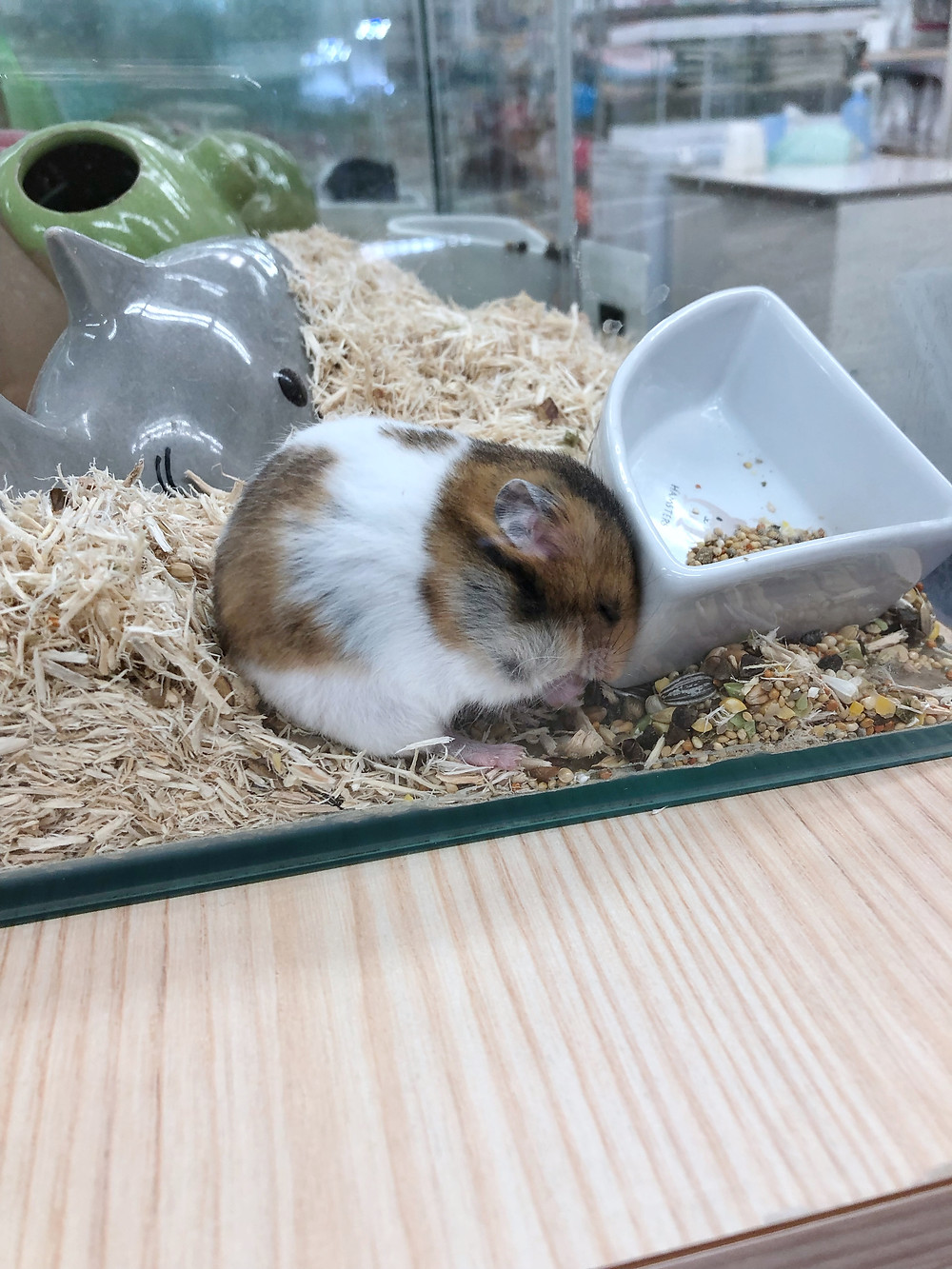 Tokyu Hands ikebukuro Cookingwiththehamster