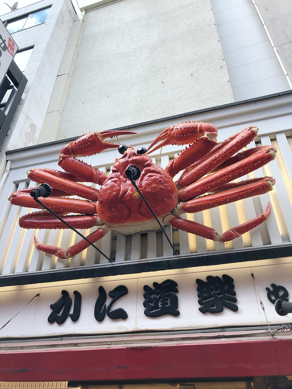 Dotonbori osaka Cookingwiththehamster