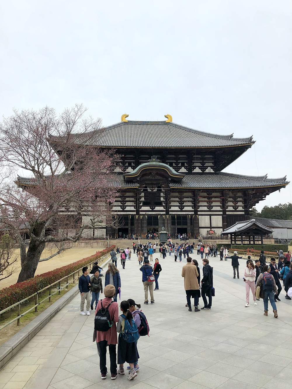todaiji nara giappone cookingwiththehamster