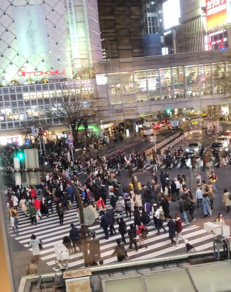 Shibuya crossing tokyo Cookingwiththehamster