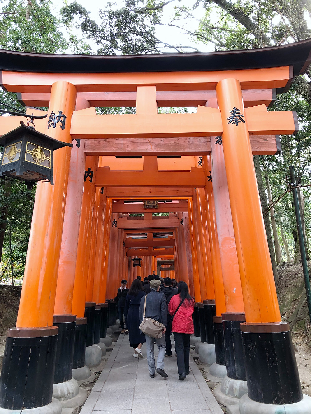 fushimi inari kyoto cookingwiththehamster