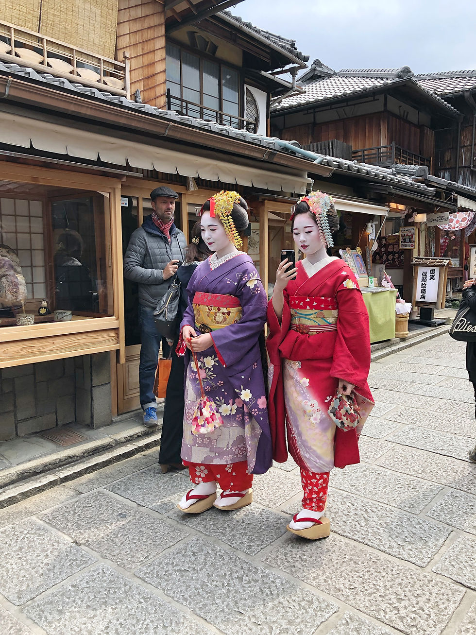 maruyama koen kyoto maiko cookingwiththehamster