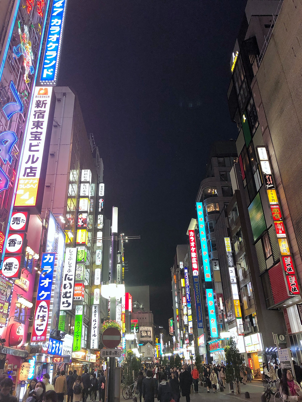 Kabukicho tokyo Cookingwiththehamster