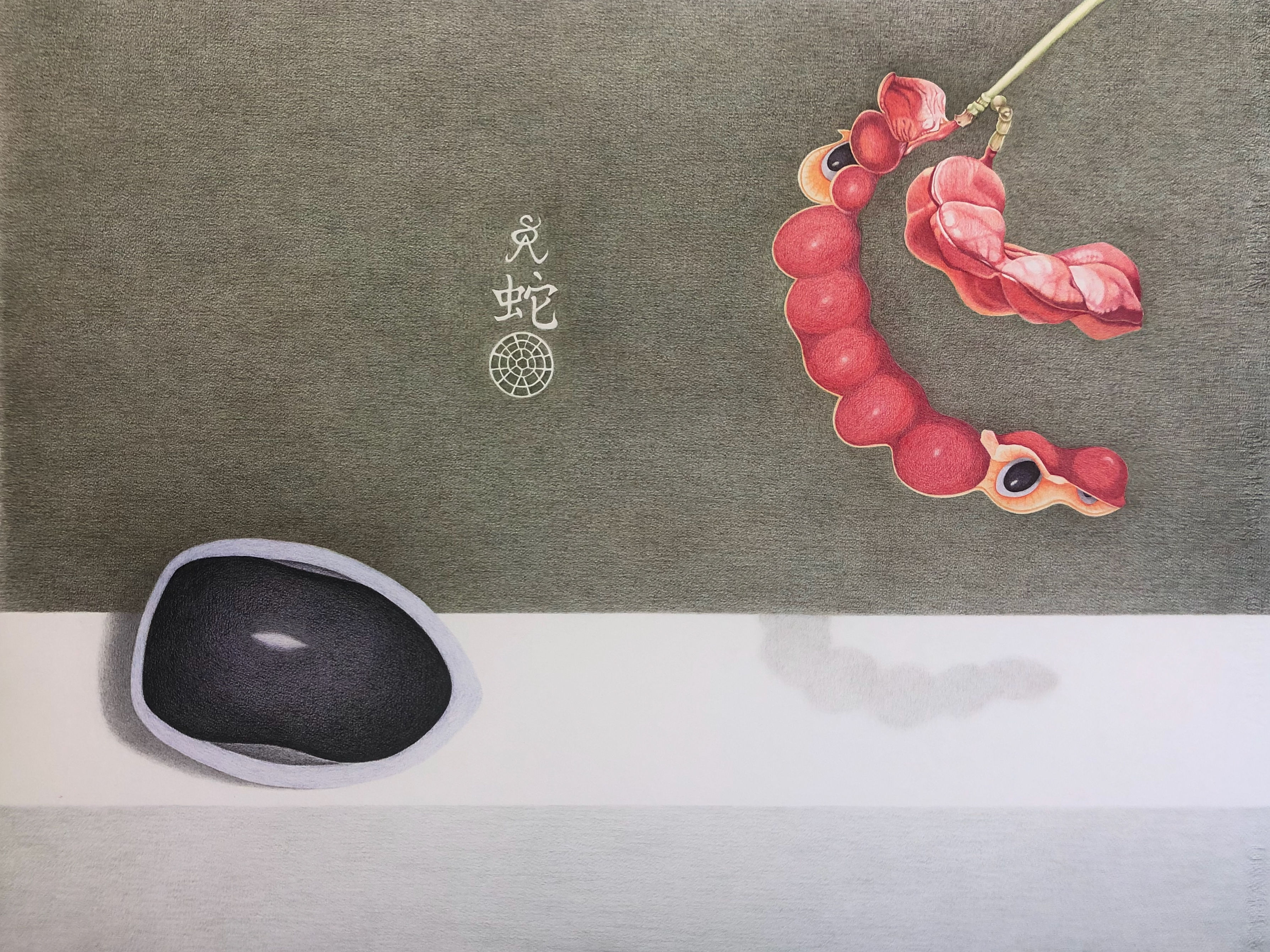 Archidendron lucyii 2026 -Scarlet bean tree