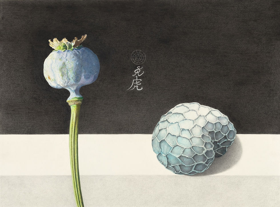 Advanced Course: Contemporary Botanical Art