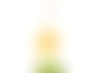 Conophytum "Mabel's Milkman" 2024