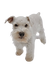 Winnie