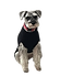 Warby