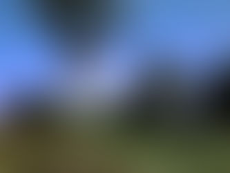 Exploring the History and Landmarks of Capitol Hill, Washington DC