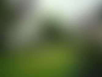 How Aerial Photography Services Transform Your Vision