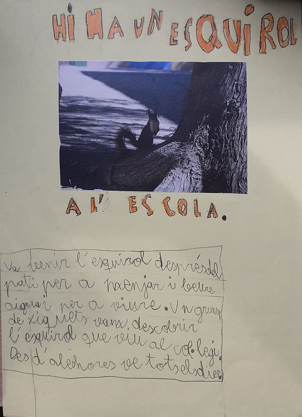 WhatsApp Image 2019-10-28 at 14.12.36 (2