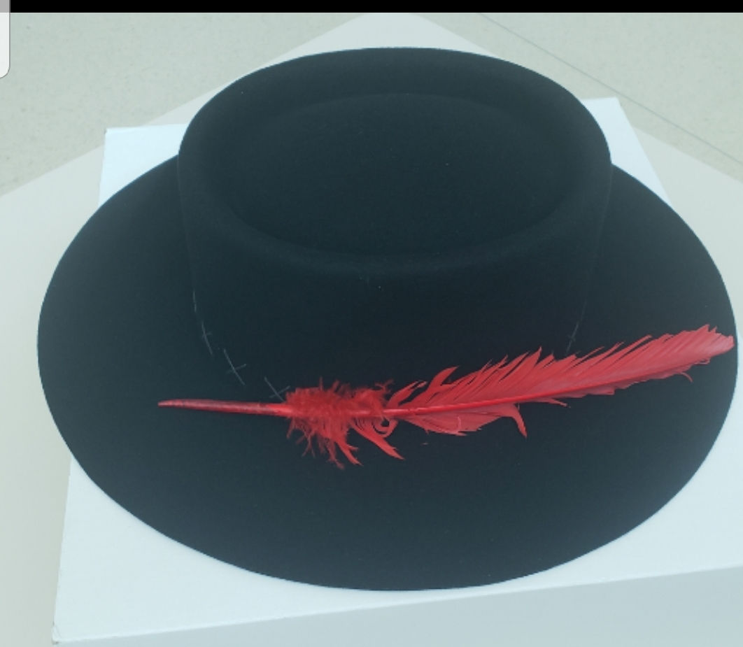 Black Red Feather Hat