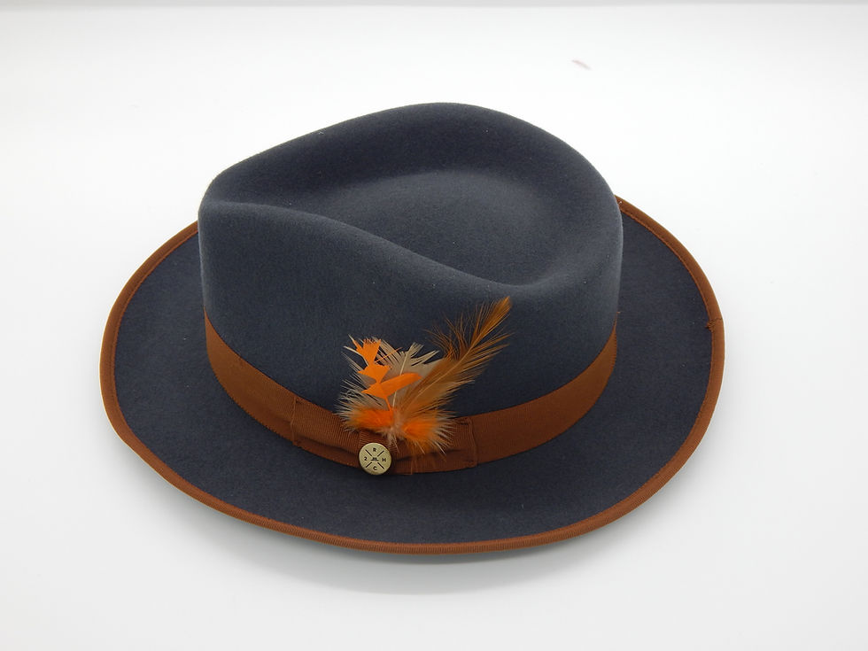 Blue Brown Brim Hat
