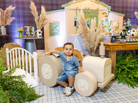 Ravi: 2 anos - Ateliê dos Sonhos Select