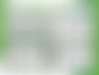 A IAABR no G20, apresentando projetos e soluções Sustentáveis, pautadas nas 17ODS.