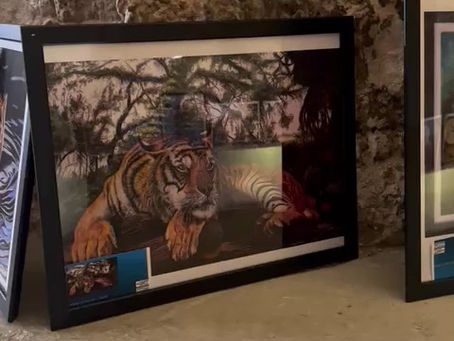 A Exposição em Vídeos