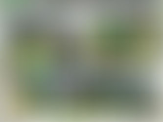 A IAABR tem atividades também em espaços privados, no Green House, o plantio de 5 arvores, com incentivo do reflorestamento no Ambiente comum entre os moradores.