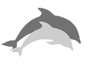 dolphins.png