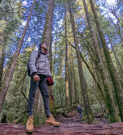 Hike to the Whyte Lake