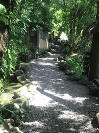 Krazy Gecko Bar & Restaurant, Phewa lake