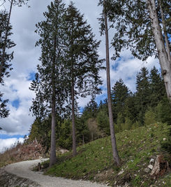 Trailhead for Grouse Grind