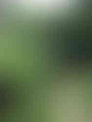 Devi's Falls, Pokhara