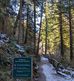 Hiking near Cleveland Dam