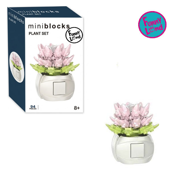 MINI BLOCKS PLANT SET ECHEVARIA - FUNNY LAND