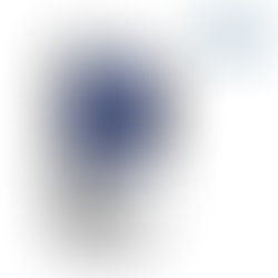 ESTACION METEOROLOGICA DIGITAL - LUFT