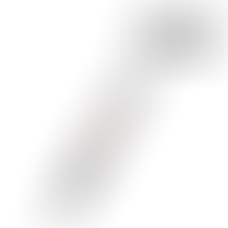 PORTAMINAS P 245 NEGRO - PENTEL