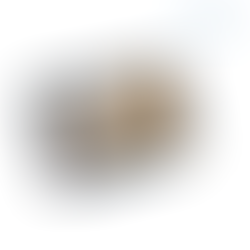 KIT MANDALA cod: 19735 - PLANTEC