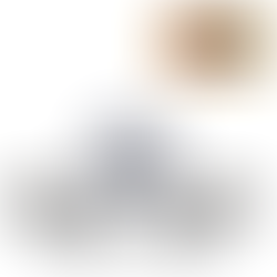 MERCEDES BENZ 300 SL 1954 ESCALA 1:24 - BURAGO