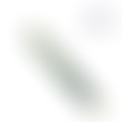 BOLIGRAFO EXPERT LACA VERDE MARMOLADO - WATERMAN