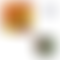 POQUER DE BICHOS - DEVIR