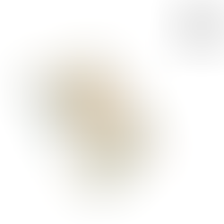 CUADERNO [APUNTES IDEAS Y NOTAS] FLORES - MIL LETTERPRESS