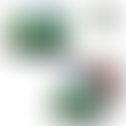 LAPICES DE COLORES POLYCOLOR x 24 - PIZZINI