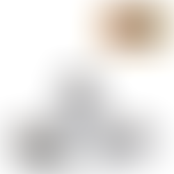 VOLKSWAGEN KÄFER-BEETLE 1955 ESCALA 1:18 - BURAGO