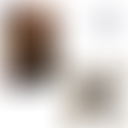 EL SEÑOR DE LOS ANILLOS LA BATALLA POR LA TIERRA MEDIA - DEVIR