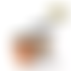 GENERALA CRISTAL - BISONTE