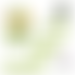 SET DE GEOMETRIA VERDE [Art.4013] - PIZZINI