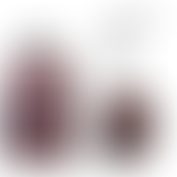 MOCHILA CON CARRO 23 LITROS OBERA TERRACOTA - GREMOND 