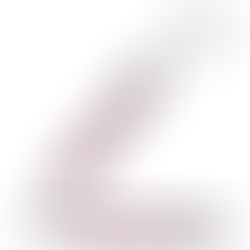 ROLLER BALL VECTOR FS PURPURA - PARKER