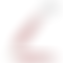 ROLLER BALL VECTOR BURGUNDY - PARKER