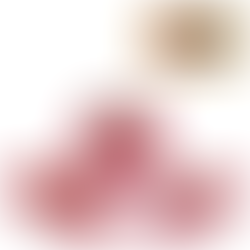 FERRARI GTO RALLY 1984 ESCALA 1:24 - BURAGO