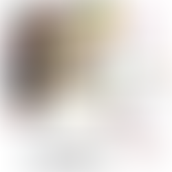 FRIENDS THE TELEVISION SERIES - TOYCO