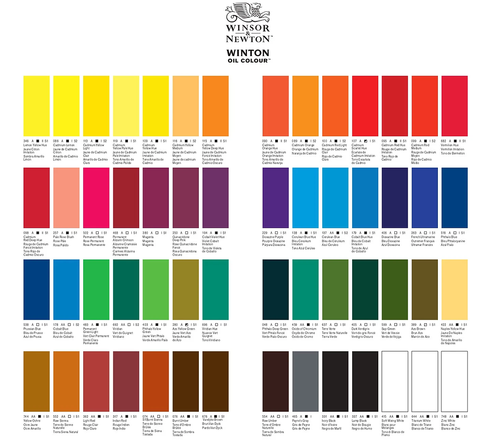 OLEOS WINTON - WINSOR & NEWTON