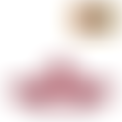 BMW M3 SERIE 3 1988 ESCALA 1:24 - BURAGO