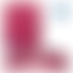 CARTUCHERA DESPLEGABLE [FLOREADA] - DYP