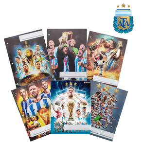 SEPARADORES N° 3 ARGENTINA CAMPEON