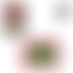 MINI ESTADIO A ESCALA ESTUDIANTES DE LA PLATA - ESCALADIO